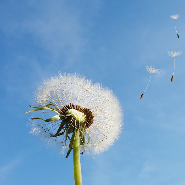 �����ϸ硤(�й�)���ֲ��ٷ���վ