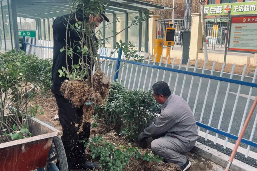 �����ϸ硤(�й�)���ֲ��ٷ���վ